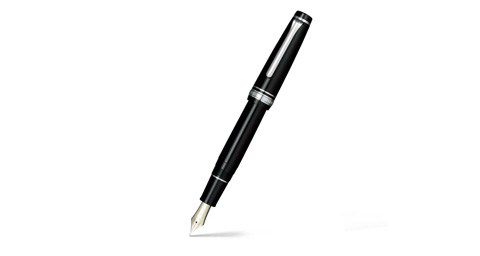 Zoom Nib Fountain Pen.jpg
